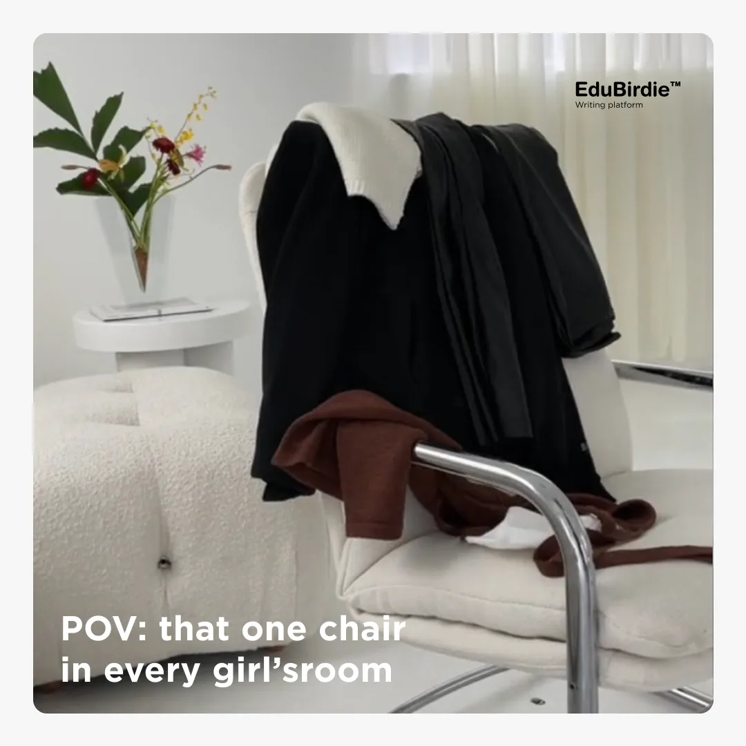 Elaborate object POVs meme