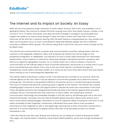The Internet and Its Impact on Society: An Essay