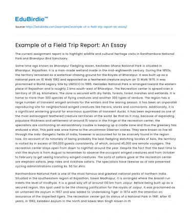 Example of a Field Trip Report: An Essay