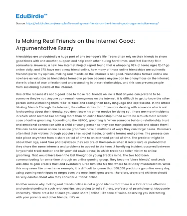 Is Making Real Friends on the Internet Good: Argumentative Essay