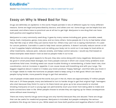 Essay on Why Is Weed Bad for You