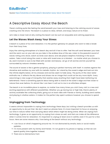 A Descriptive Essay About the Beach