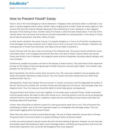 How to Prevent Flood? Essay