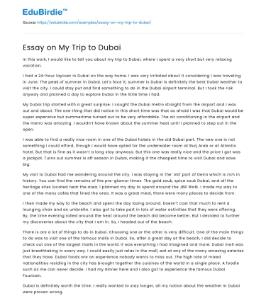 Essay on My Trip to Dubai