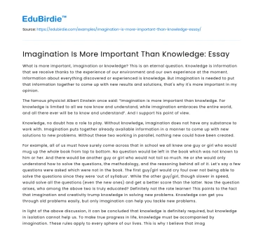 Imagination Is More Important Than Knowledge: Essay