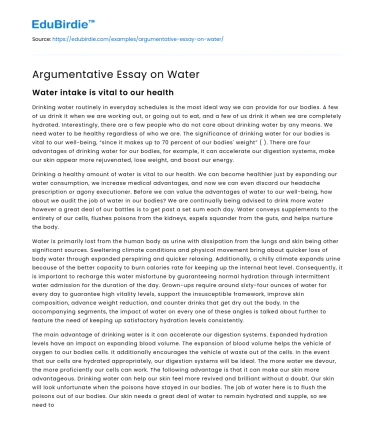 Argumentative Essay on Water