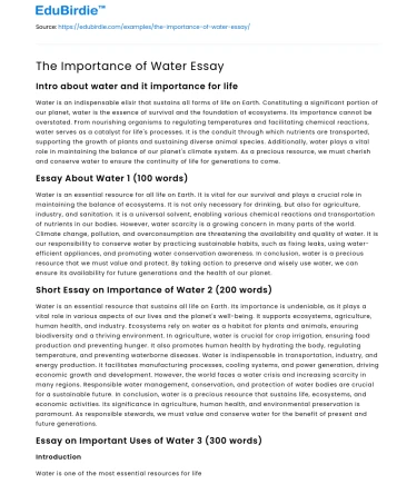 The Importance of Water Essay