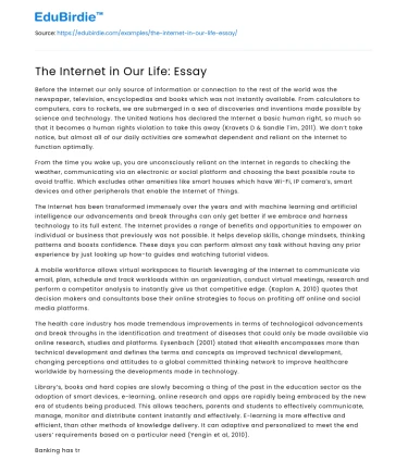 The Internet in Our Life: Essay