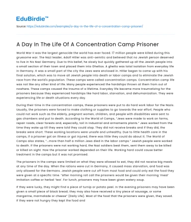 A Day In The Life Of A Concentration Camp Prisoner