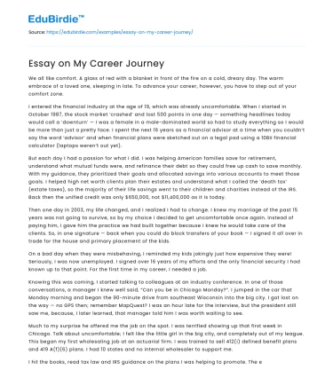 Essay on My Career Journey