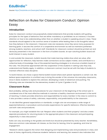 Reflection on Rules for Classroom Conduct: Opinion Essay