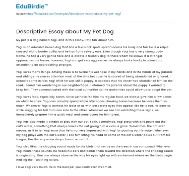 Descriptive Essay about My Pet Dog