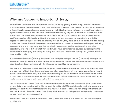 Why are Veterans Important? Essay
