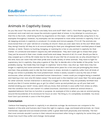 Animals in Captivity Essay