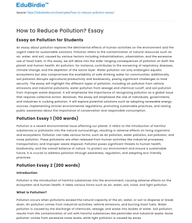 How to Reduce Pollution? Essay