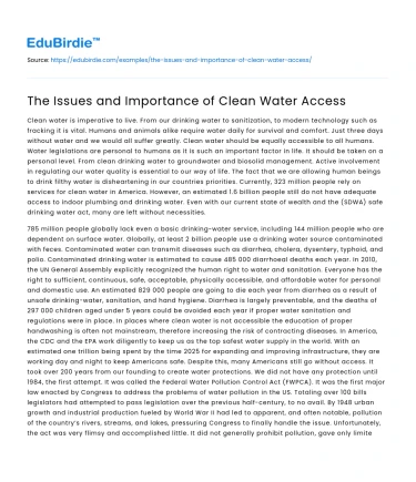 The Issues and Importance of Clean Water Access