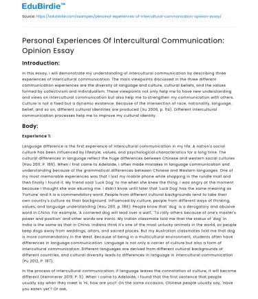 Personal Experiences Of Intercultural Communication: Opinion Essay