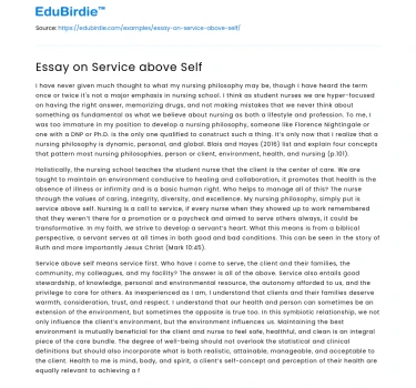 Essay on Service above Self
