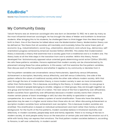 My Community Essay