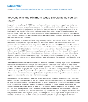 Reasons Why the Minimum Wage Should Be Raised: An Essay