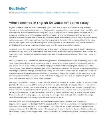What I Learned in English 101 Class: Reflective Essay