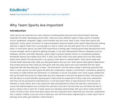 Why Team Sports Are Important