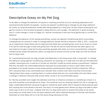 Descriptive Essay on My Pet Dog
