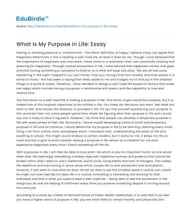 What Is My Purpose in Life: Essay