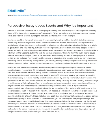 Persuasive Essay about Sports and Why It’s Important