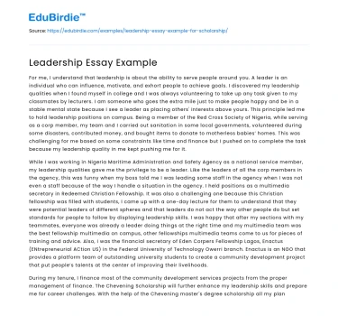 Leadership Essay Example