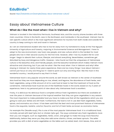 Essay about Vietnamese Culture