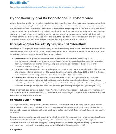 Cyber Security and Its Importance in Cyberspace