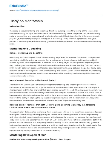Essay on Mentorship
