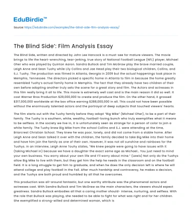 The Blind Side’: Film Analysis Essay