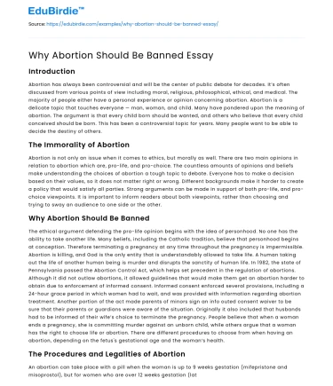 Why Abortion Should Be Banned Essay