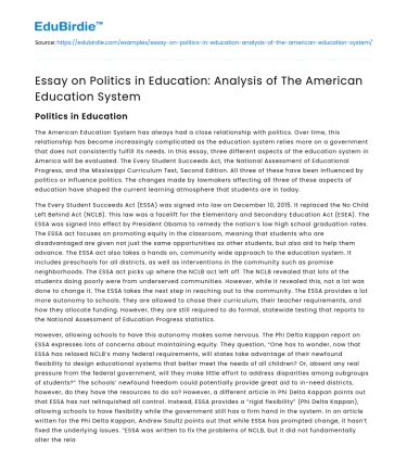 Essay on Politics in Education: Analysis of The American Education System