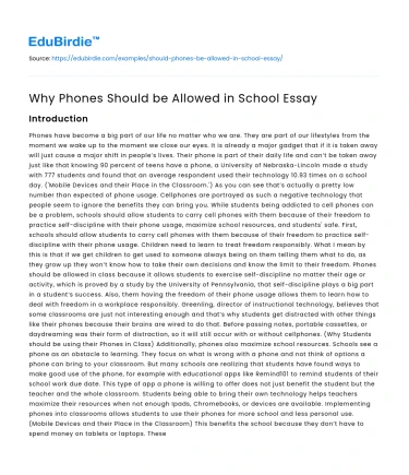 Why Phones Should be Allowed in School Essay