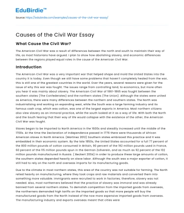 Causes of the Civil War Essay