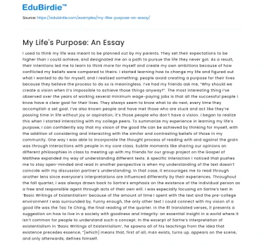 My Life’s Purpose: An Essay