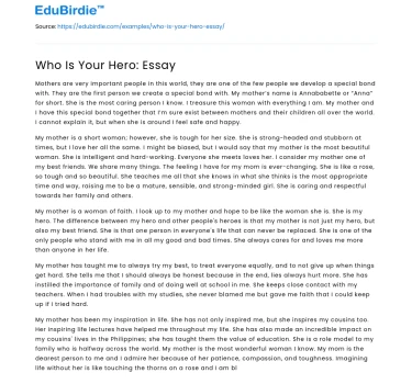 Who Is Your Hero: Essay