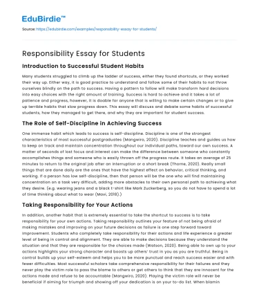 Responsibility Essay for Students