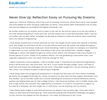 Never Give Up: Reflection Essay on Pursuing My Dreams
