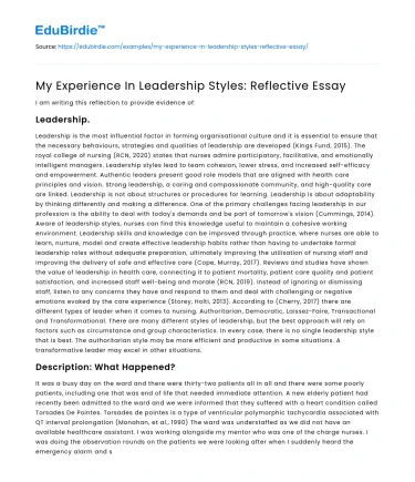 My Experience In Leadership Styles: Reflective Essay