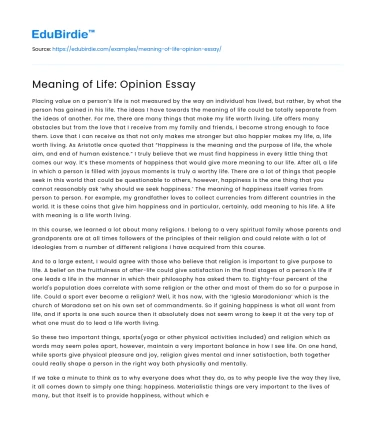 Meaning of Life: Opinion Essay