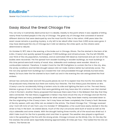 Essay About the Great Chicago Fire