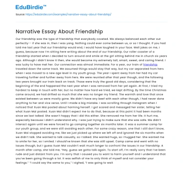 Narrative Essay About Friendship