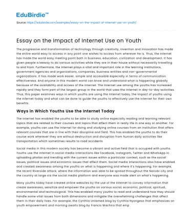 Essay on the Impact of Internet Use on Youth
