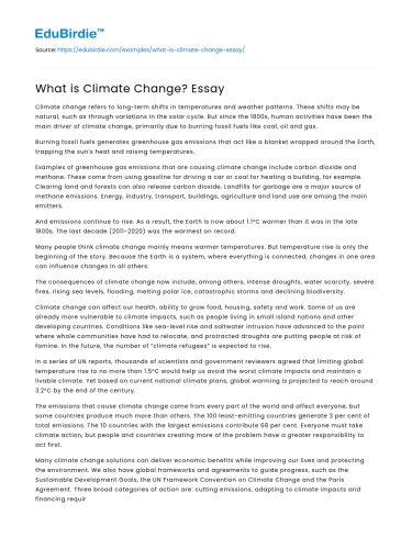 What is Climate Change? Essay