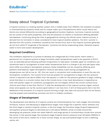 Essay about Tropical Cyclones