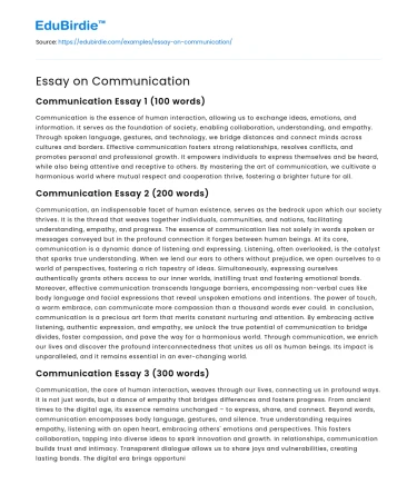 Essay on Communication